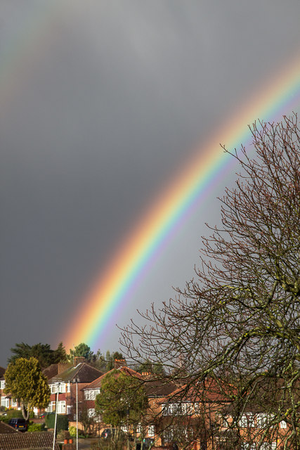 My voices and what I did to overcome&nbsp;them